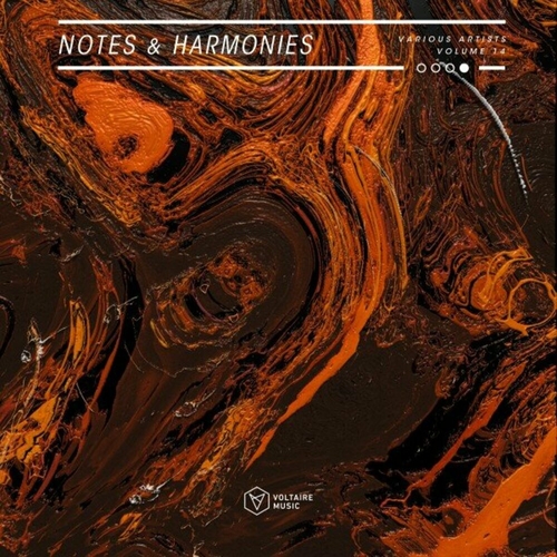 VA - Notes & Harmonies Vol 14 [VOLTCOMP1226]